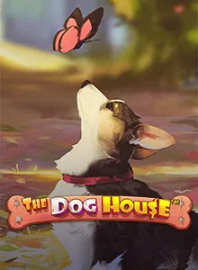 The Dog House